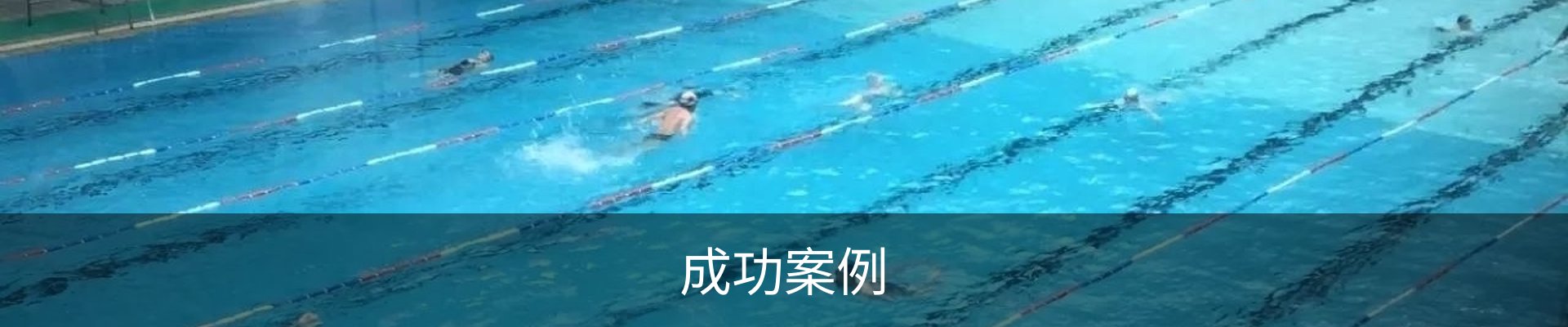 成功案例