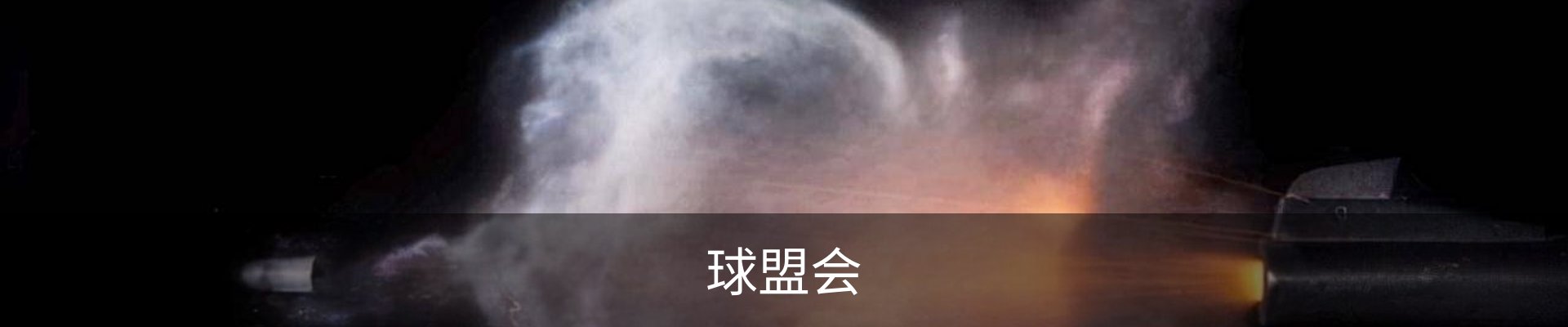 球盟会